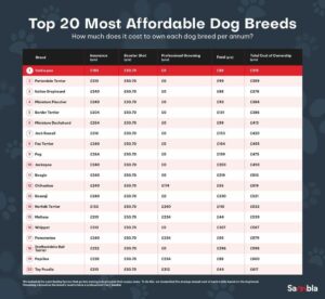 Cheapest dog best sale breed to maintain